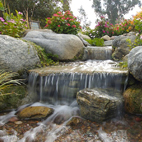 Pond Maintenance Calgary